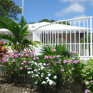 https://grenadier.comcaribbean.com